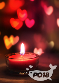 【寻文楼】一起找书百合abo年龄差大gl